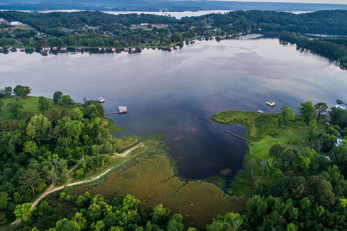 Lake Guntersville from the air: houses and docks along a wooded cove